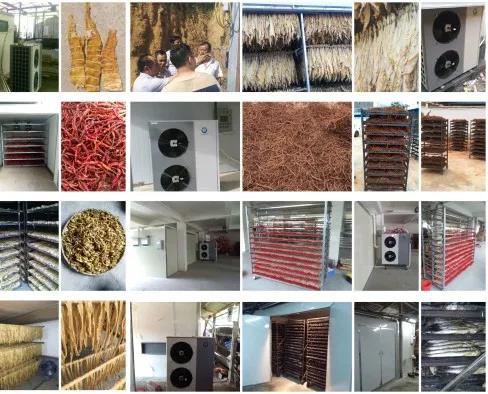 明升mansion88(中国集团)最新官方网站