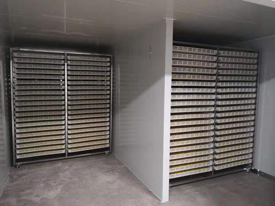 20200827093203498474