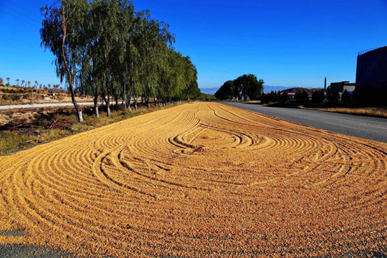 20200911085151151278