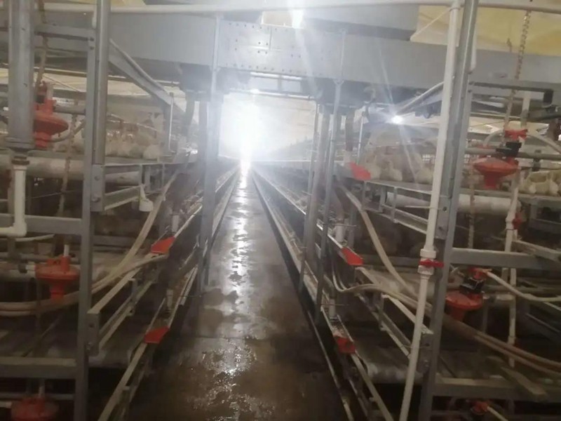 明升mansion88(中国集团)最新官方网站