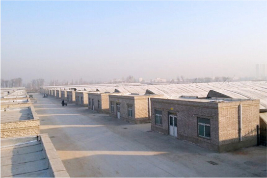 20201014092310527752