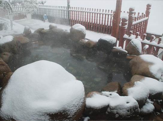 20201222114448950946