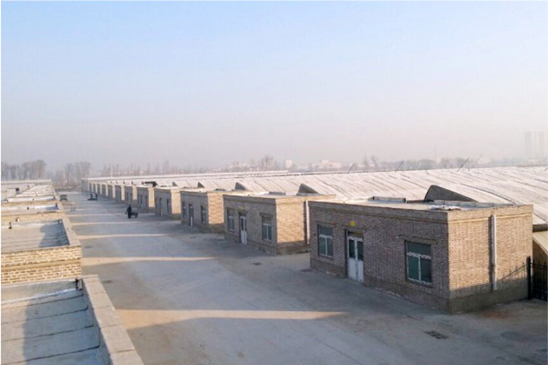 20210120083302840039