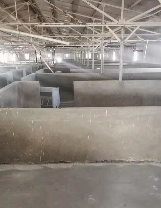 20210220172906191131