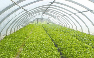 20210412084003197750