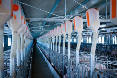 20210416085523447250