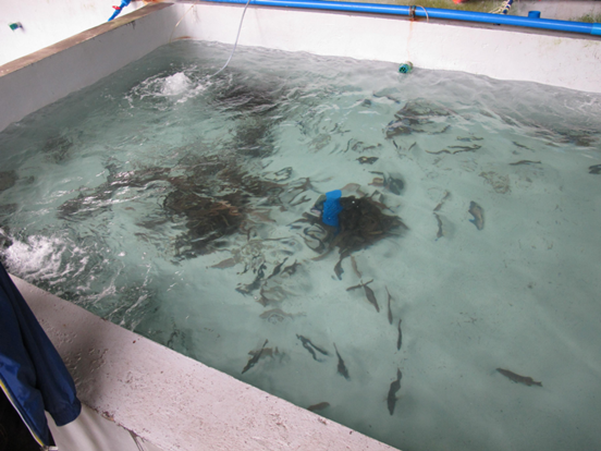 20210422142945904583