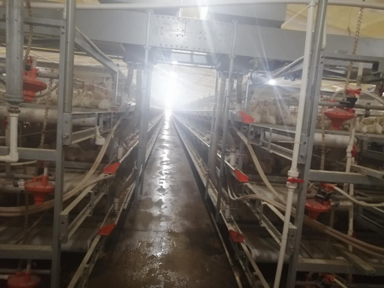 20210508102622284735