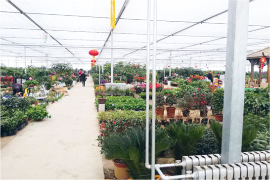 20210603085854811611