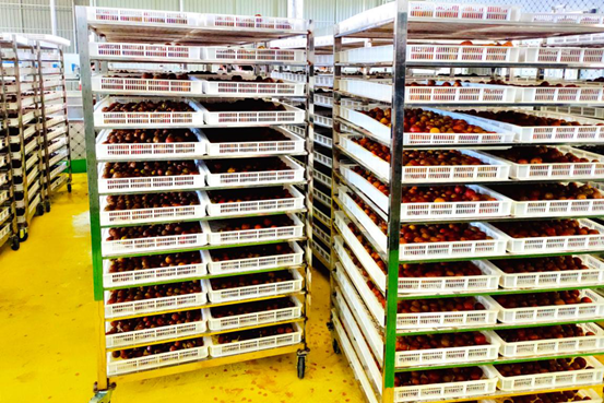 20210609090033508224