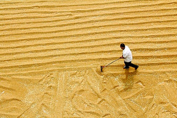 20210722112832676809