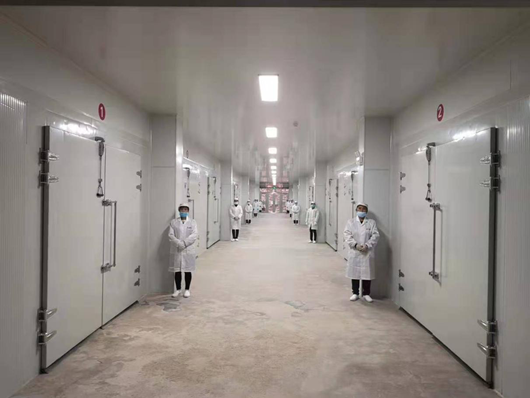 20210803170013811227