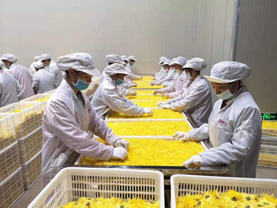 20210803170014437911