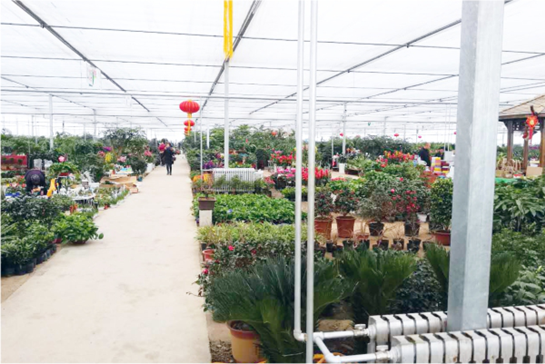 20210805174309674090