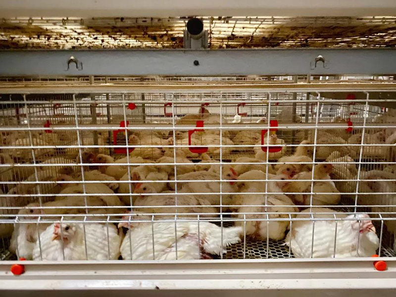 明升mansion88(中国集团)最新官方网站