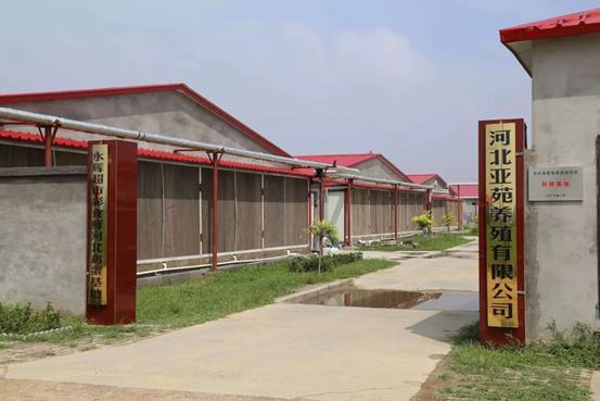 20210818165945291436