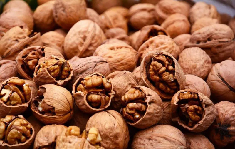 明升mansion88(中国集团)最新官方网站