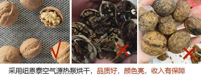 明升mansion88(中国集团)最新官方网站