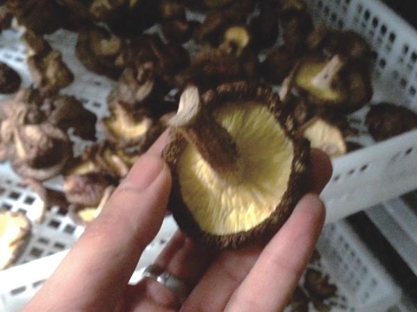 明升mansion88(中国集团)最新官方网站