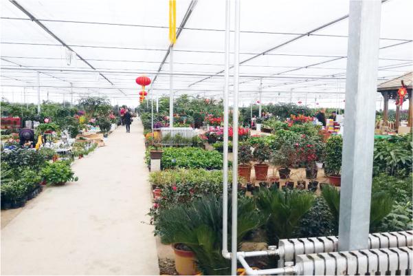 明升mansion88(中国集团)最新官方网站