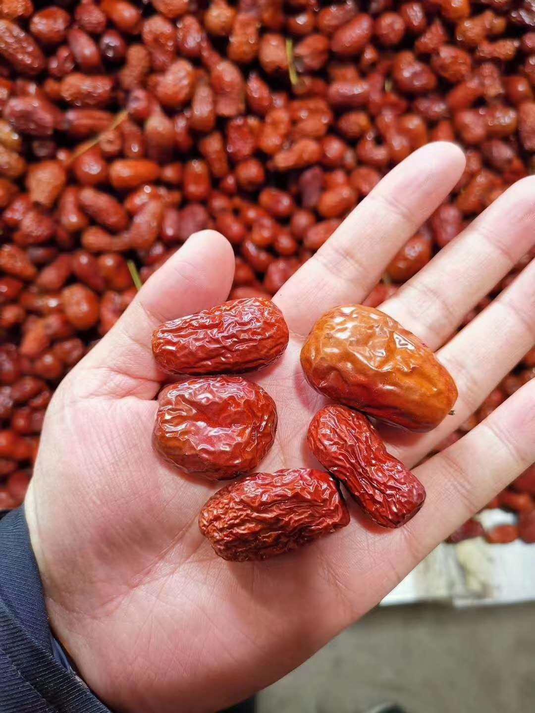 明升mansion88(中国集团)最新官方网站