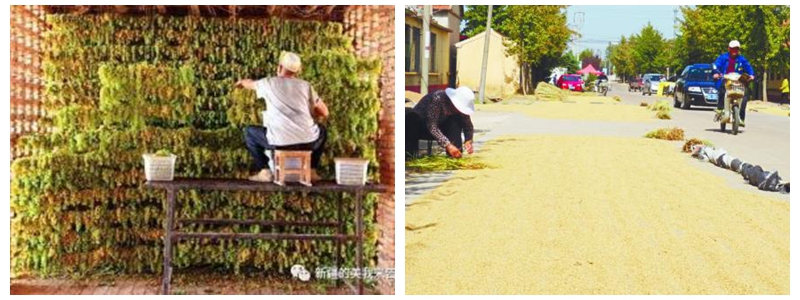 明升mansion88(中国集团)最新官方网站