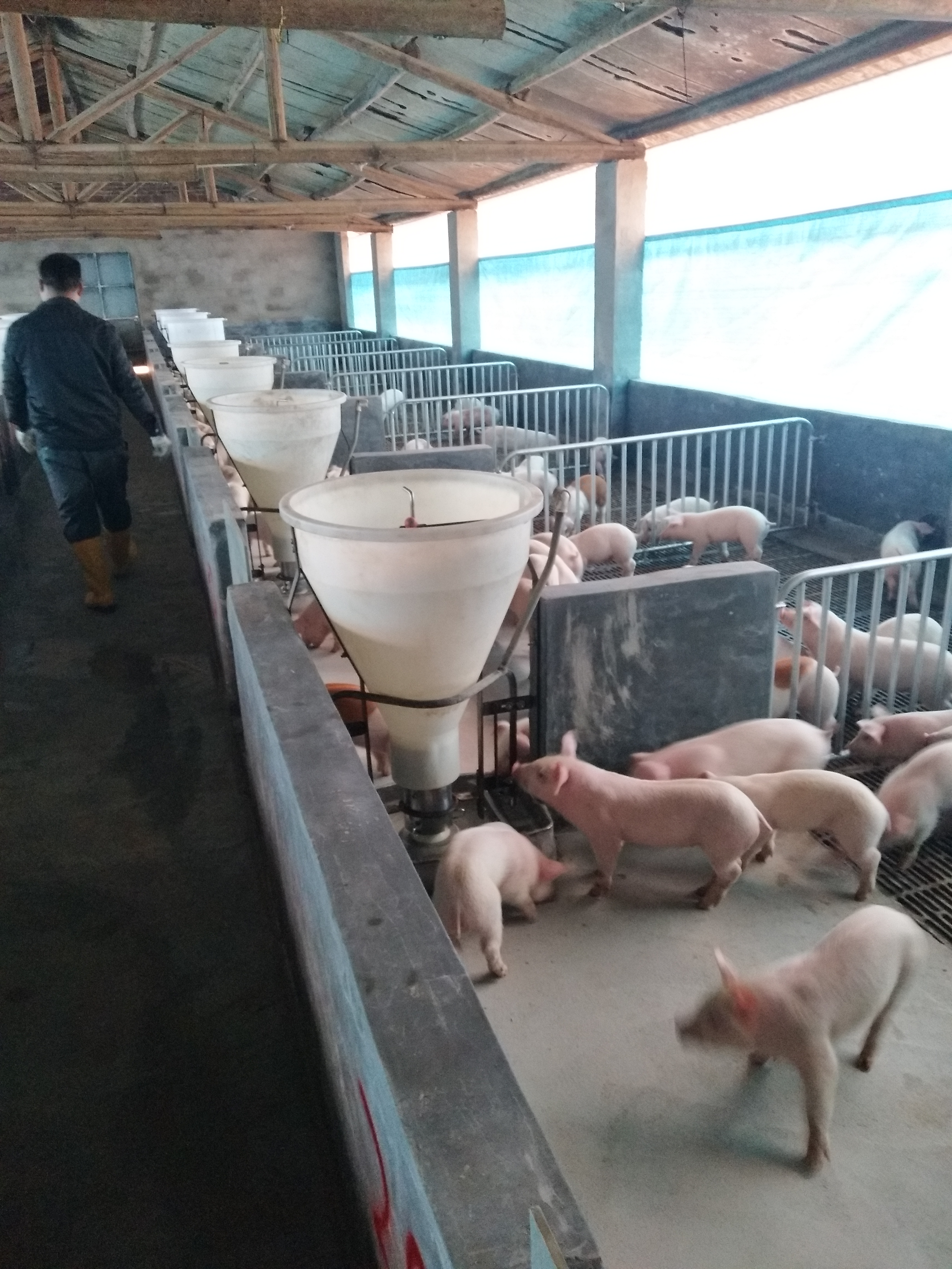 明升mansion88(中国集团)最新官方网站